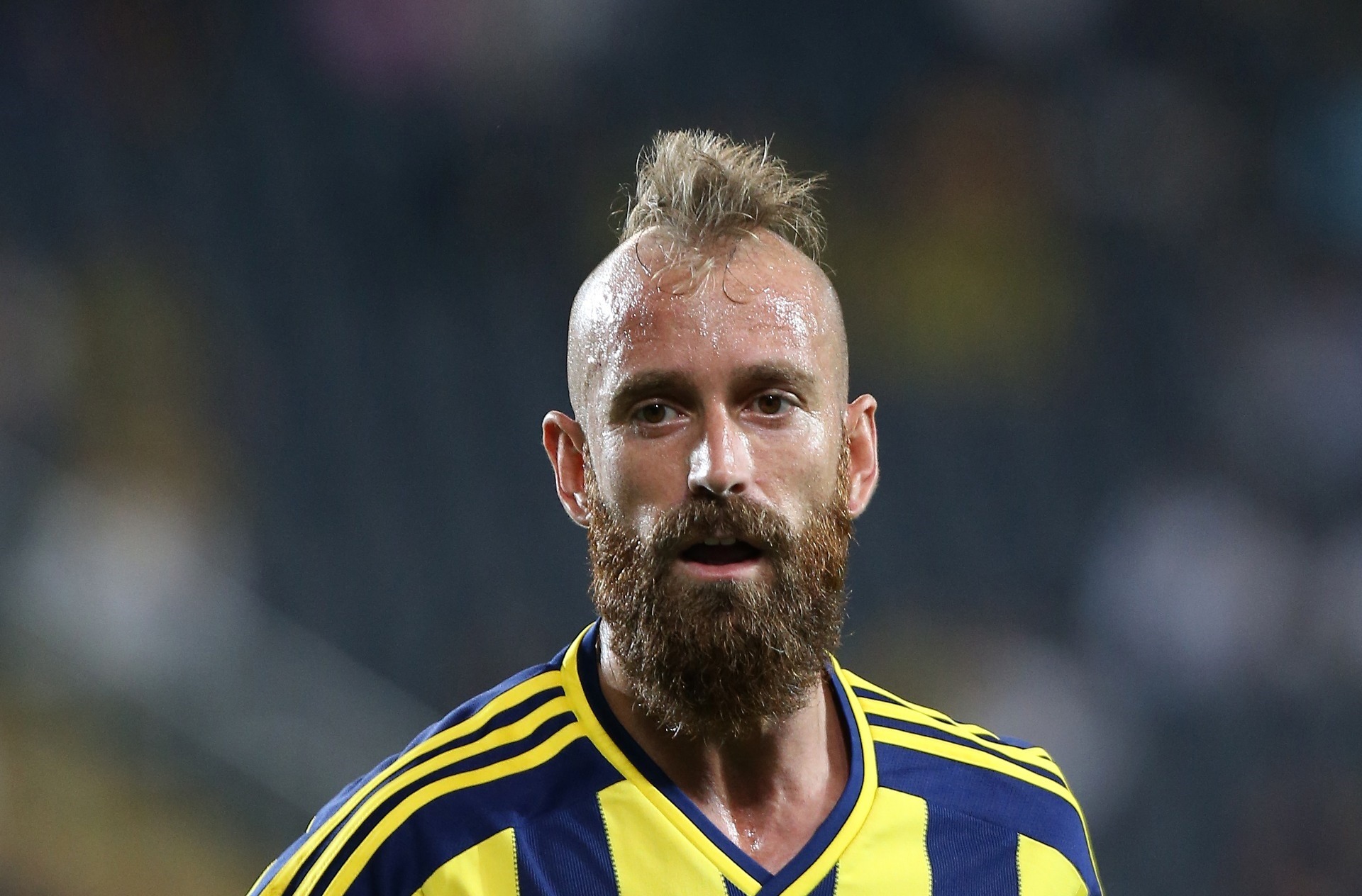 Raul Meireles